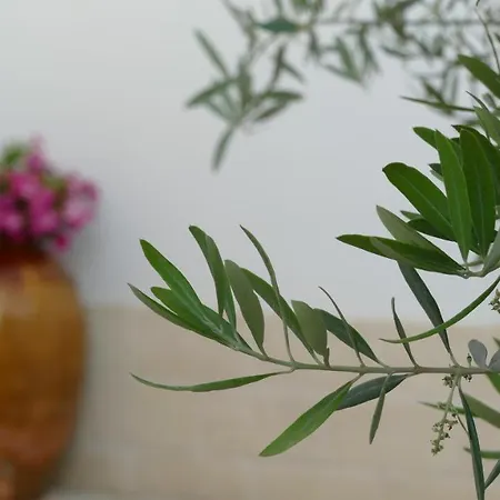 Casale Giuseppe Bed & Breakfast