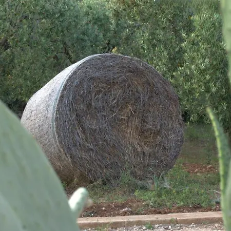 Casale Giuseppe Oda ve Kahvaltı 4*