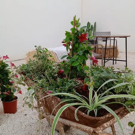 Casale Giuseppe Oda ve Kahvaltı Fasano