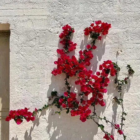 לינה וארוחת בוקר Casale Giuseppe