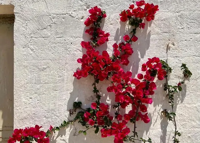 Frühstückspension Casale Giuseppe